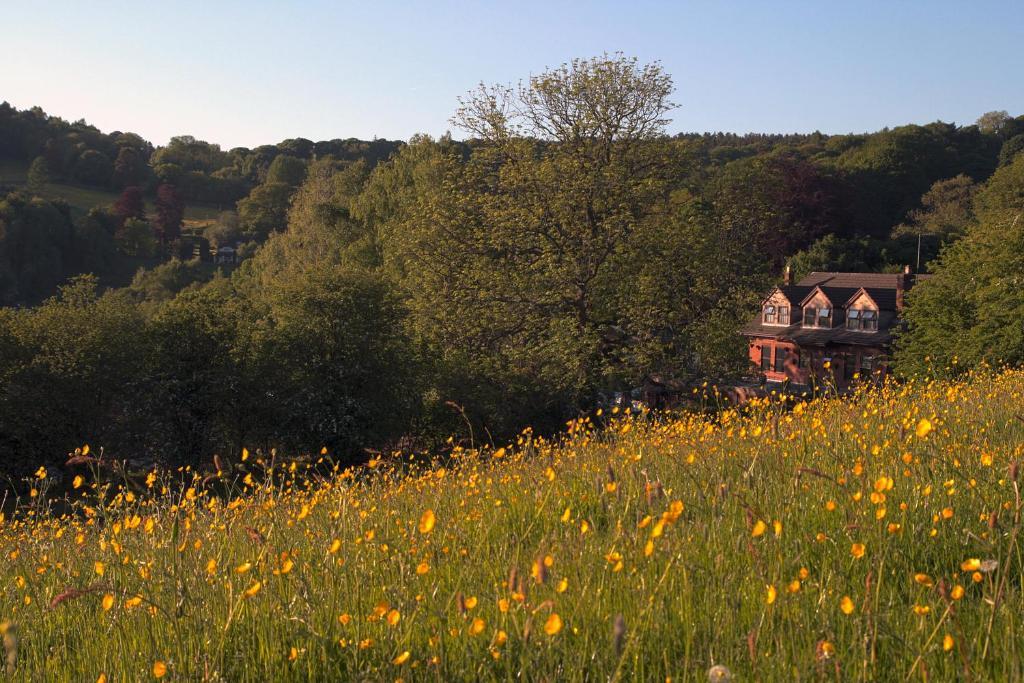 Bed and breakfast The Laurels