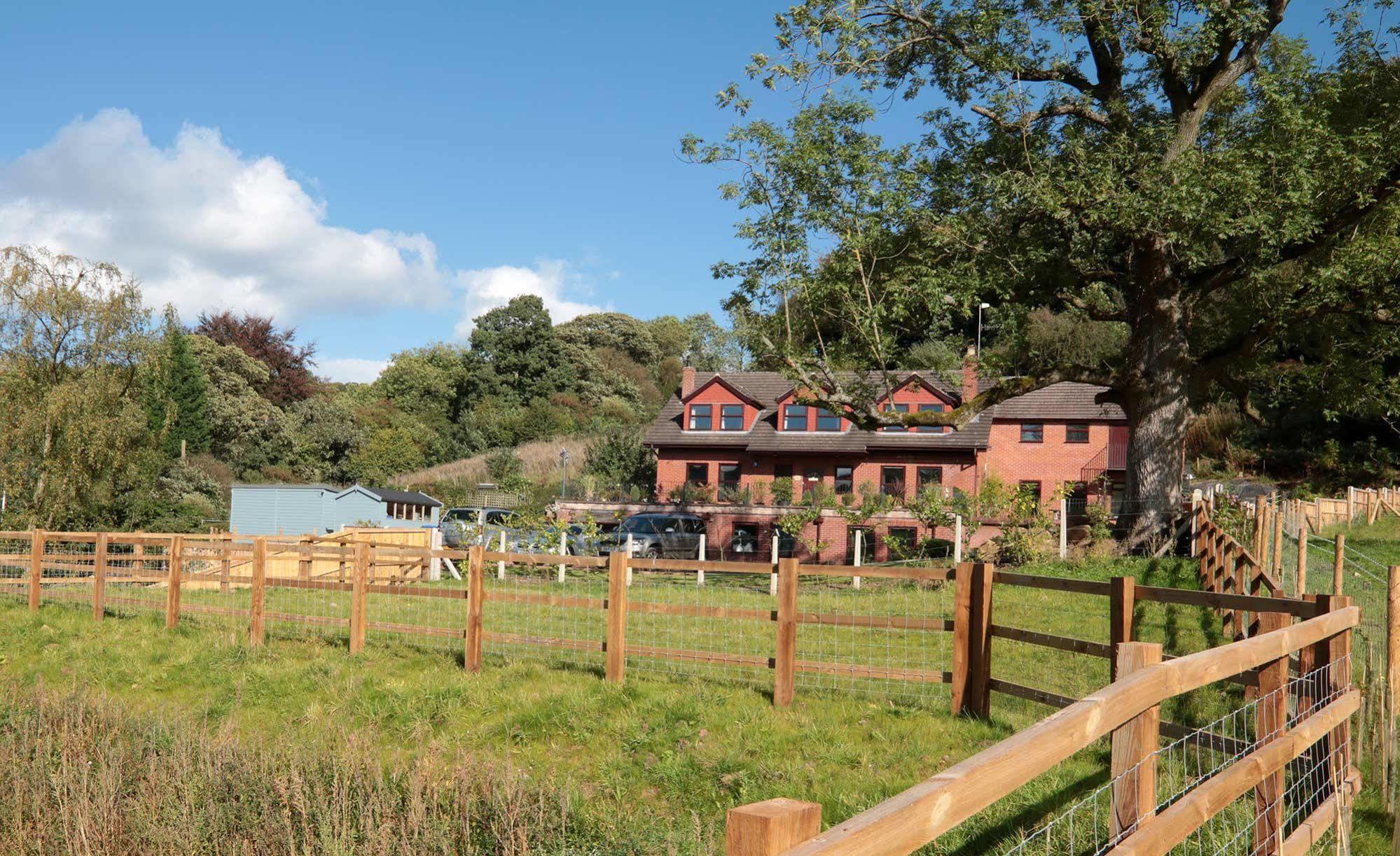 The Laurels Bed and breakfast